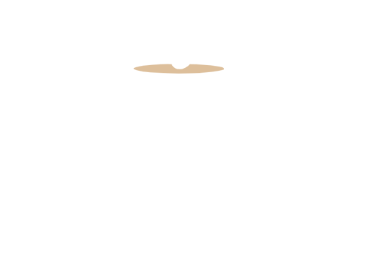 Debt Consultants Group logo