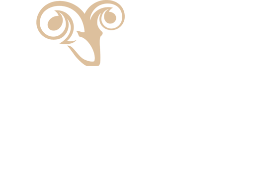 Ovis Creative logo