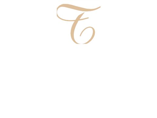 TransPerfect logo